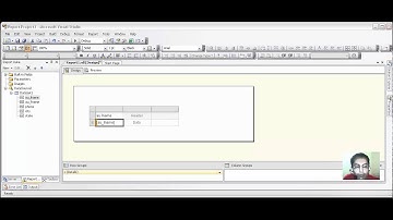 Sql server reporting service - Reporting Services 2008 Create Report - ( Without Wizard )