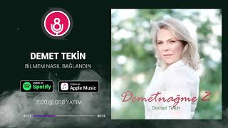 Demet Tekin - Bilmem Nasıl Bağladın / Demetnağme 2  Resimi