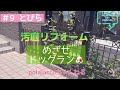 汚庭リフォーム #9とびら