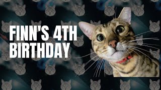 Finn's 4th Birthday #cat #catbirthday #cheetoh by Your Purrfect Cat 16 views 10 months ago 1 minute, 56 seconds