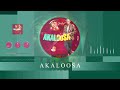 Akaloosa 🌹 - Yaled (Official Music Visualizer)
