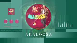 Video thumbnail of "Akaloosa 🌹 - Yaled (Official Music Visualizer)"