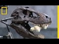 T. Rex's Bone-Crushing Bite | National Geographic