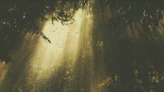 Kristoffer Eikrem X Dyvn - Among The Trees