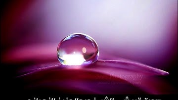 سورة قريش - تلاوة خاشعة للشيخ عبد العزيز الزهراني