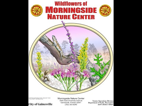 วีดีโอ: Morningside Nature Preserve: The Complete Guide