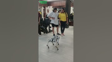 Unitree Go2 Dog Robot Training at the Gym | Real-Time Workout with Trainer