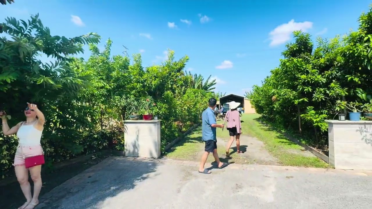 Đi ngắm cây ở Florida 