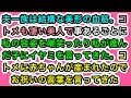 【スカッとする話】夫一族は結構な美形の血筋。コトメも凄い美人で事あるごとに私の容姿を嘲笑ったり私が産んだ子にイヤミを言ってきた。コトメに赤ちゃんが産まれたのでお祝いの言葉を言ってきた