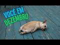 Por que Você Está Exausto em Dezembro?