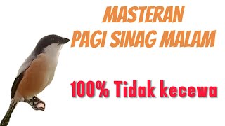 Download Lagu CENDER GACOR MASTERAN PAGI SIANG MALAM DI JAMIN AMPUH UNTUK CENDET BAKALAN STRES ATAUPUN MACET BUNYi MP3