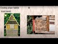 Building Backyard Habitats In San Diego Webinar