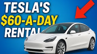 How Tesla’s $60-a-Day Rental Changes Car Buying And What Happens to Hertz and Turo Thumb