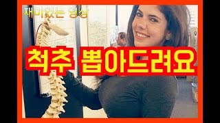 [재미있는 동영상] BEST #042 [웃긴 영상][후방주의][엽기][유머][갑분싸][움짤][GIF][레전드][박항서][중국축구][우레이][killing time] | 볼빨기