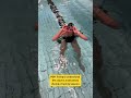 At This Point IтАЩm Just Busy With Not Drowning ЁЯдг Swimming At This Point IтАЩm Just Busy With Not Drowning ЁЯдг Swimming