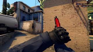 CSGO digest5 Raf