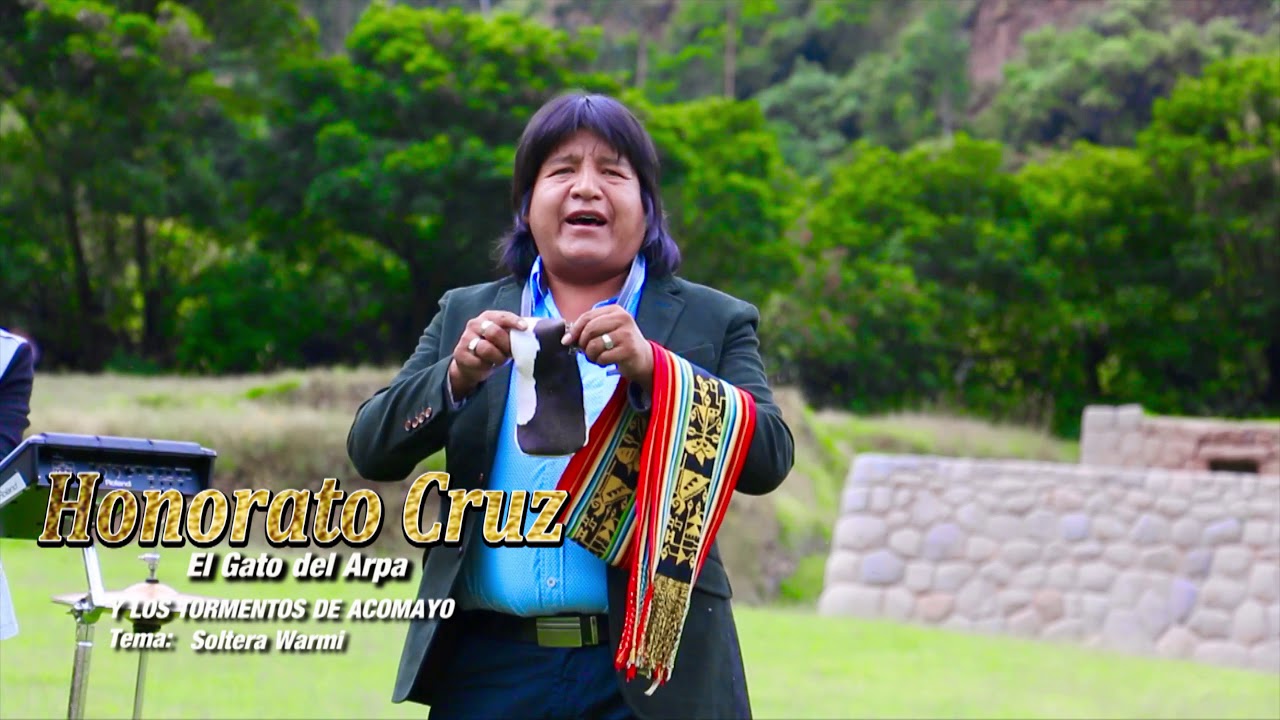 Gato Del Arpa - Soltera Warmi / Videoclip Oficial (Huayno Perú)