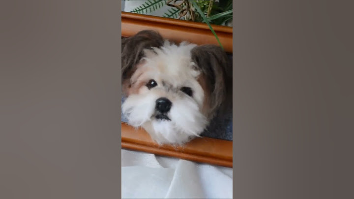 Mini photo frame for pets #dog #handmade #pets