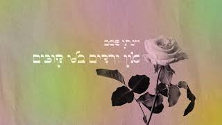 יונתן שגב - מטלון 25 (הופק ע״י פרקי)