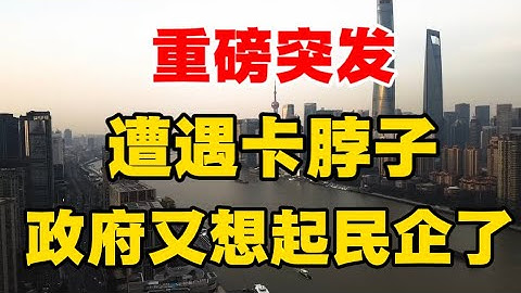 重磅突发！遭遇卡脖子，政府又想起民企了！张维迎和许小年揭露民营企业缺乏信心真相！