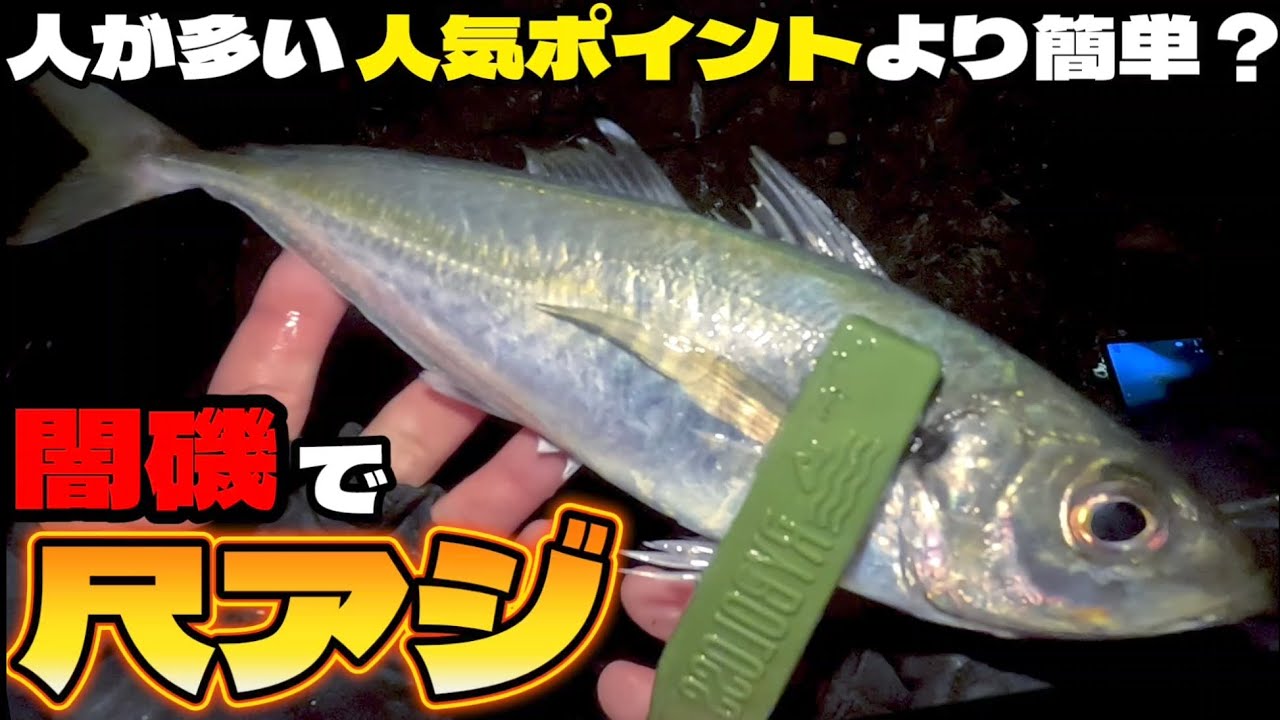 混み合う人気ポイントを避けて誰もいない磯で尺アジを釣る！【アジング