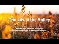 &quot;The Lily of the Valley&quot; Instrumental Worship Piano Hymn with Lyrics