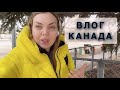 ВЛОГ🇨🇦ПАСХА В КАНАДЕ🇨🇦НОВЫЙ ШАМПУНЬ 🧴