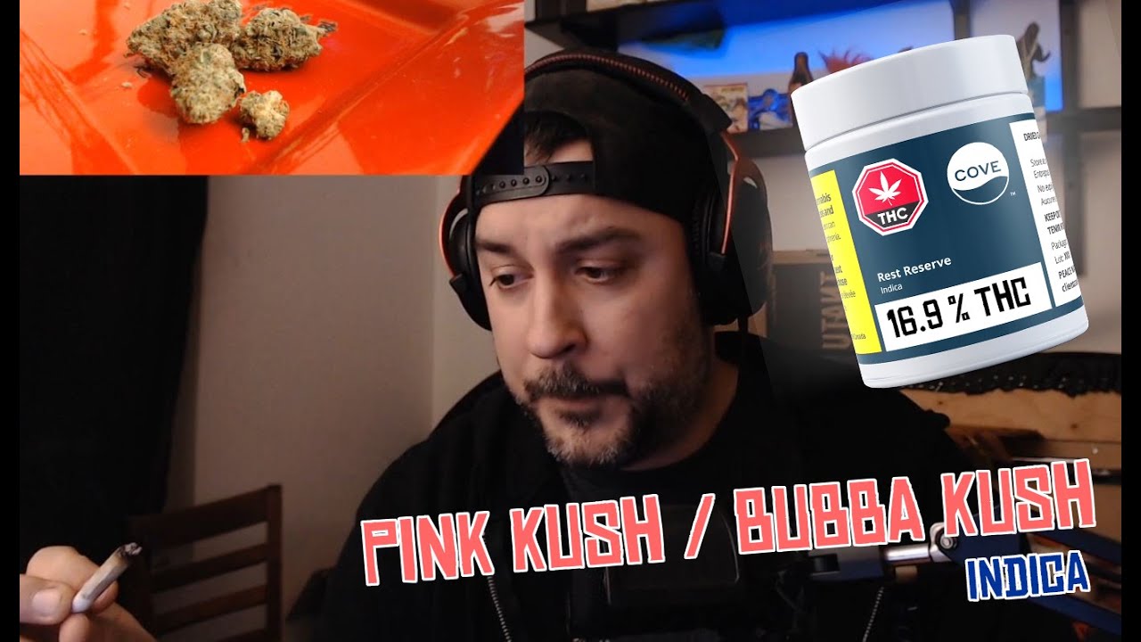 Dégustation REST RESERVE de COVE Pink & Bubba Kush Indica 16,9% THC Cannabis Marijuana Weed unboxing