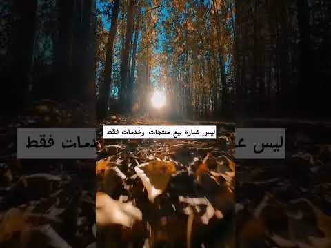 التسويق الناجح في مجال البزنس الاعمال الحرة