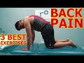 The 3 BEST EXERCISES For Back Pain | Taught By A Physical Therapist