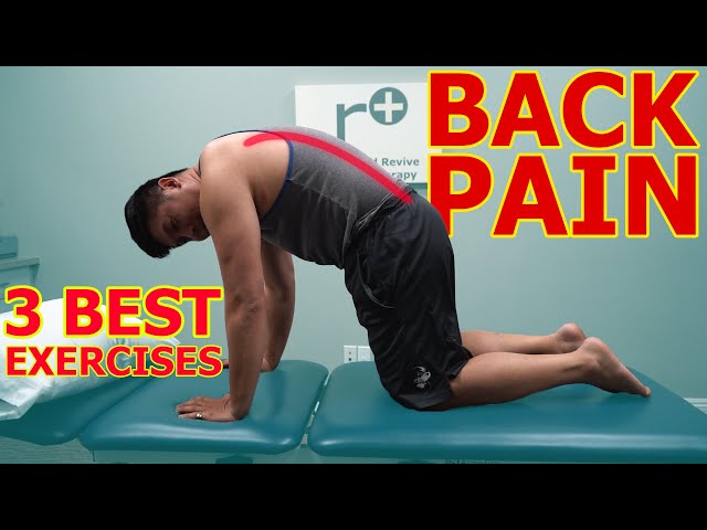 What Are The Best Exercises For Back Pain - PEAK Physical Therapy