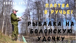 Рыбалка на болонскую удочку. Плотва в ручье! Апрель 2021 г. Bolognese fishing. April 2021.