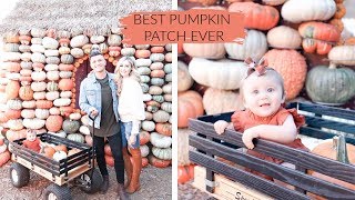 BABY'S FIRST PUMPKIN PATCH | SO MANY PUMPKINS