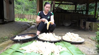 How to Harvest and Preserve Bamboo Shoots