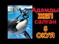 Адамды Жеп Салган 5 ОКУЯ. Тез Коргуло Укмуштар Тв