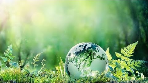 Rio summit 1992|Environmental Movements|Environmental Sciences