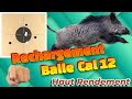 Rechargement balle de chasse n331