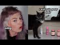 letting my CAT decide my next hair color *oh no*