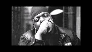 [FREE] Notorious B.I.G. X Nas X Big L | Hardcore Boom Bap Type Beat 2024 - 