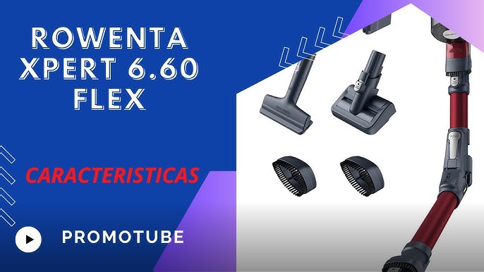 Aspiradora escoba sin cable, X-Pert 6.60 Animal Kit