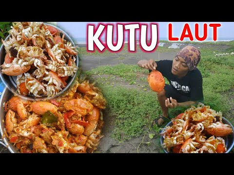 SURVIVAL : Kuliner EXOTIS pantai selatan | Masak Undur undur laut swedap&nikmat !