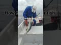 Fighting to hold on to your fish!