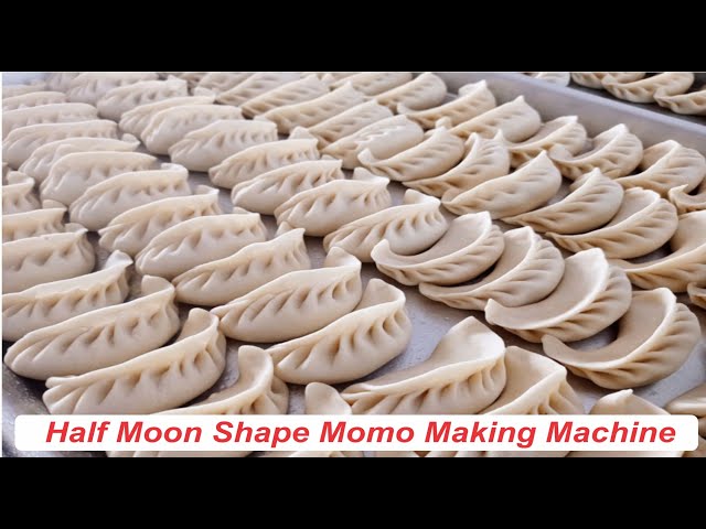 Best Momos Maker, Momo Maker Mould Shapes Plastic, Dumpling Maker, Plastic  Momo Dumpling Maker Momos Maker