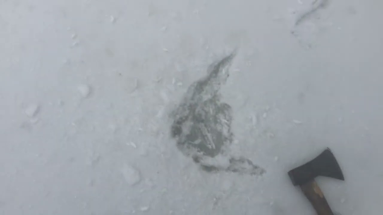 8 февраля 2026 г.