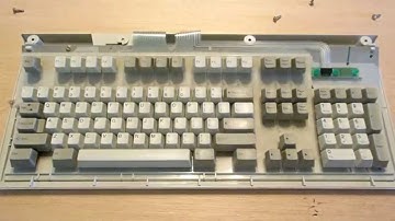 The IBM Model M Buyer