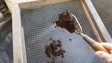 Harvesting Worm Castings to Making Worm Tea Part 1