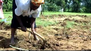 Layout Push pull plot By PV
