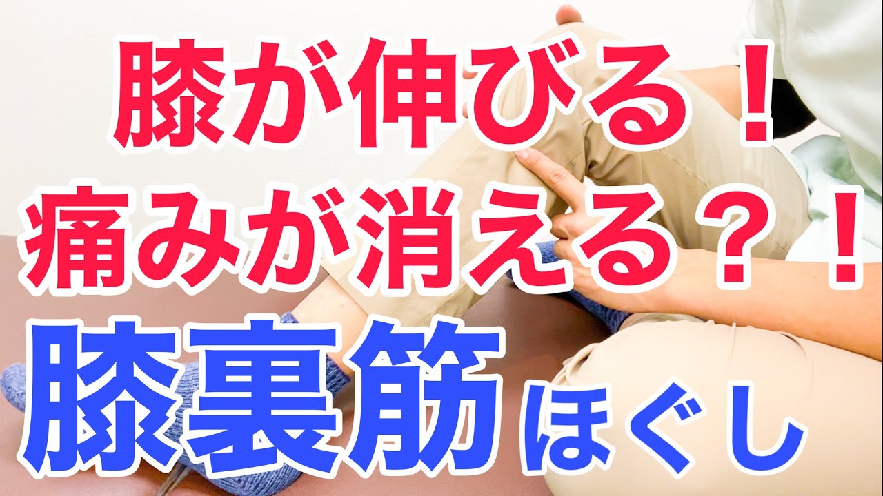 膝が伸びる！膝の痛みが改善する！膝裏の筋肉をゆるゆるにほぐす方法
