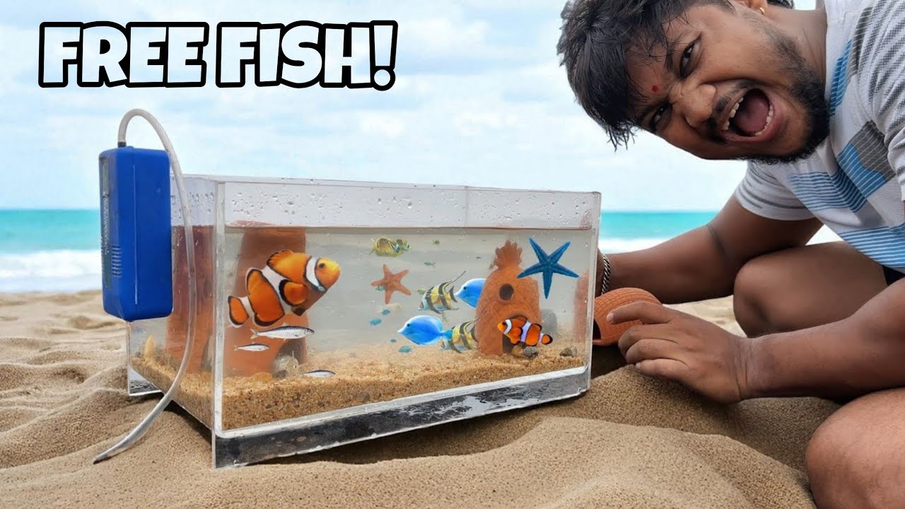 Yaha Itni Fish Thi… Believe Nahi Hoga! | BEACH AQUARIUM!!