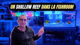 un shallow reef low tech a la maison